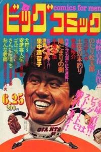 No. 12, 1981