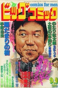 No. 17, 1981
