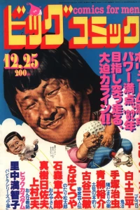 No. 24, 1981