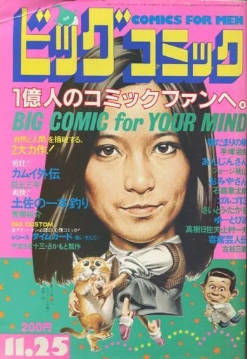 Cover of No. 22, 1982