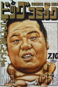 No. 13, 1987