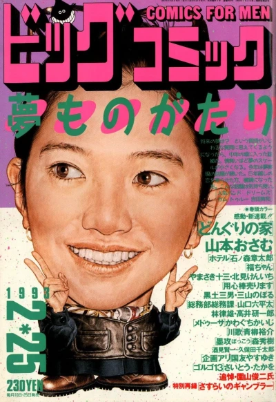 Cover of No. 4, 1993