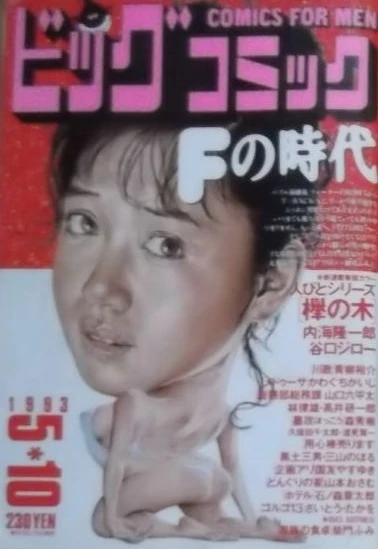 Cover of No. 9, 1993