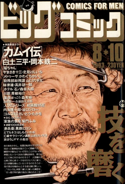 Cover of No. 15, 1993