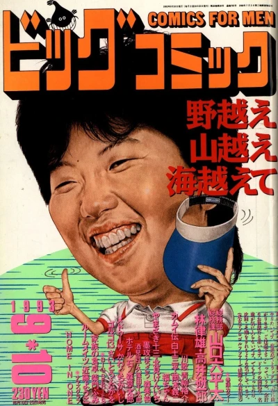 Cover of No. 17, 1993