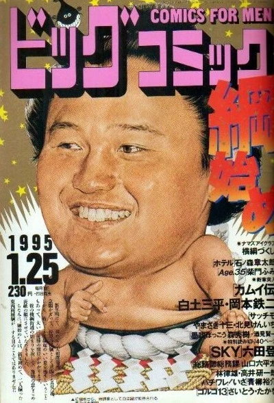 Cover of No. 2, 1995