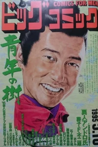 No. 9, 1995