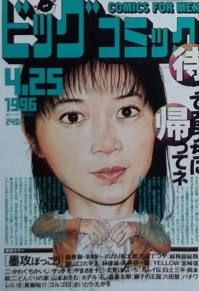 Cover of No. 8, 1996