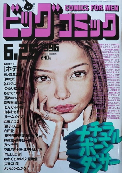 Cover of No. 12, 1996