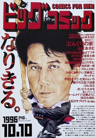 Cover of No. 19, 1996