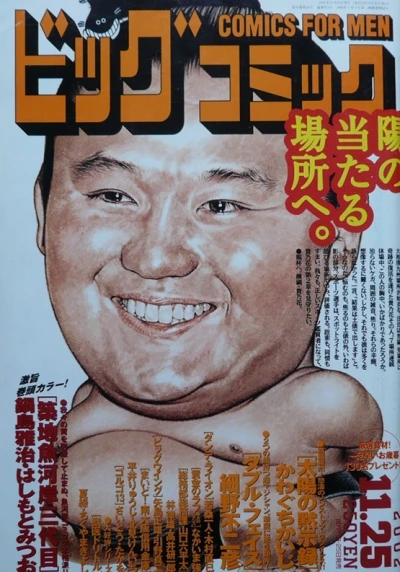 Cover of No. 22, 2002