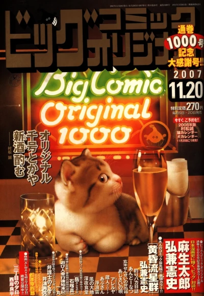 Cover of No. 22, 2007
