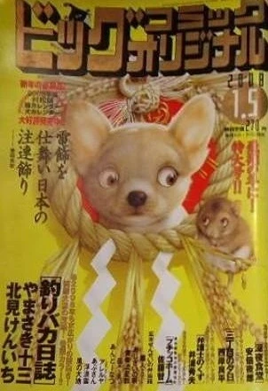 Cover of No. 1, 2008