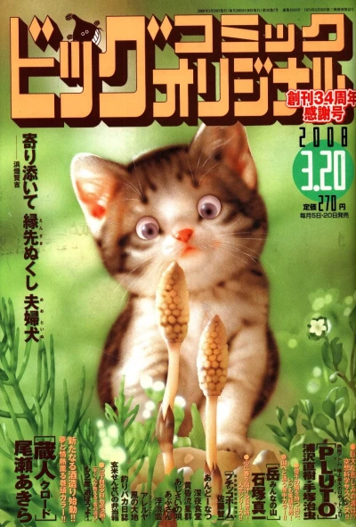 Cover of No. 6, 2008