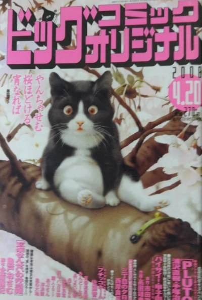 Cover of No. 8, 2008