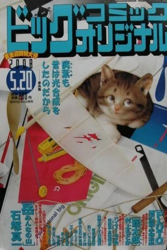 Cover of No. 10, 2008