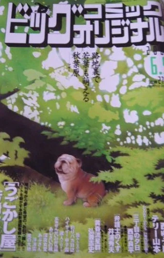 Cover of No. 11, 2008