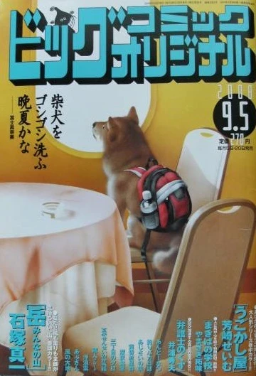 Cover of No. 17, 2008
