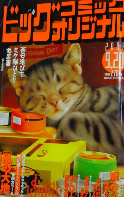 Cover of No. 18, 2008