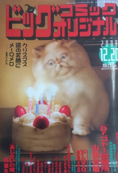 Cover of No. 24, 2008