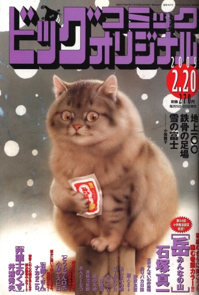 Cover of No. 4, 2009
