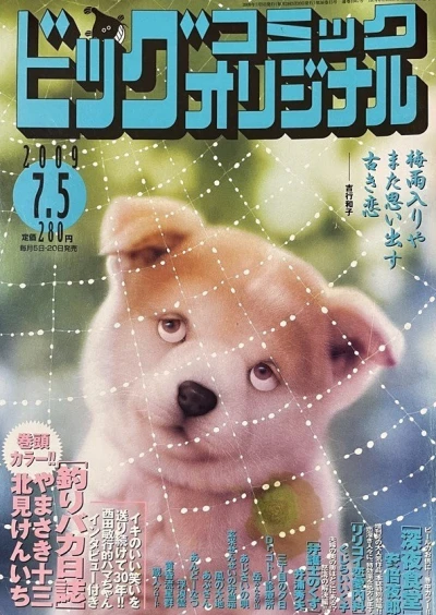 Cover of No. 13, 2009