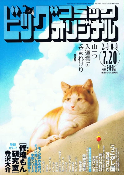 Cover of No. 14, 2009