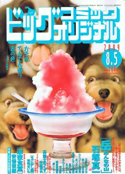 Cover of No. 15, 2009