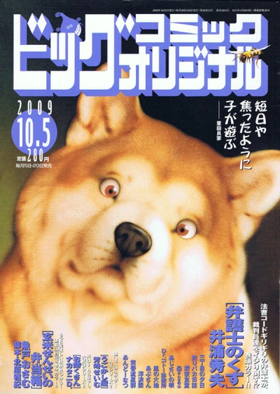 Cover of No. 19, 2009