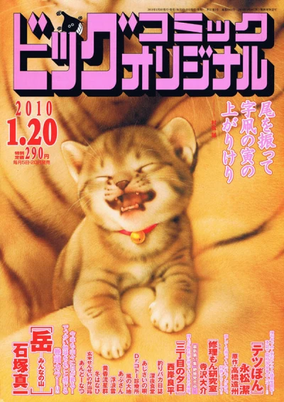 Cover of No. 2, 2010