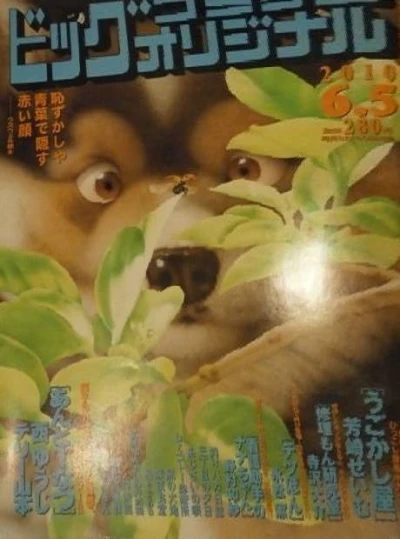 Cover of No. 11, 2010