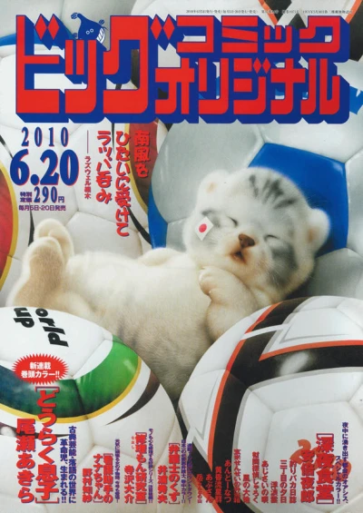 Cover of No. 12, 2010