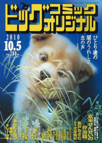 Cover of No. 19, 2010