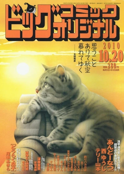Cover of No. 20, 2010