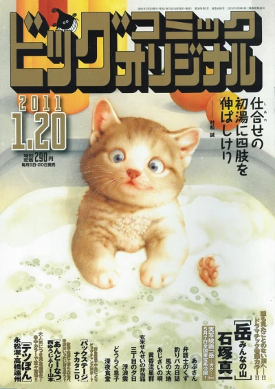Cover of No. 2, 2011
