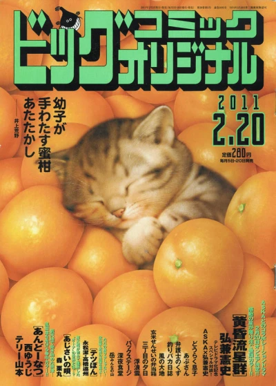 Cover of No. 4, 2011