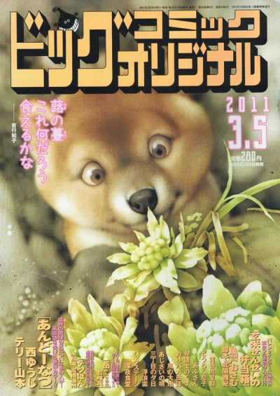 Cover of No. 5, 2011
