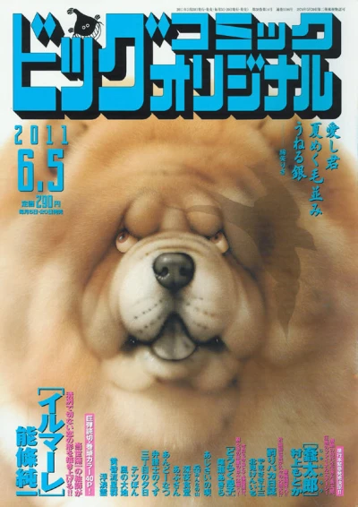 Cover of No. 11, 2011
