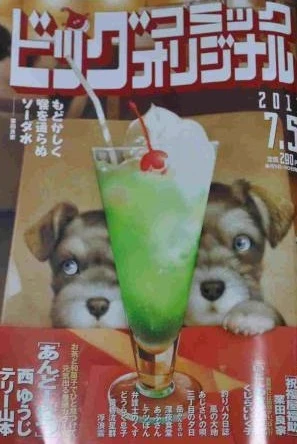 Cover of No. 13, 2011