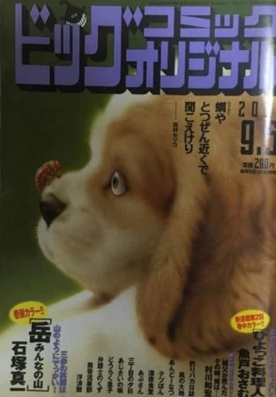 Cover of No. 17, 2011