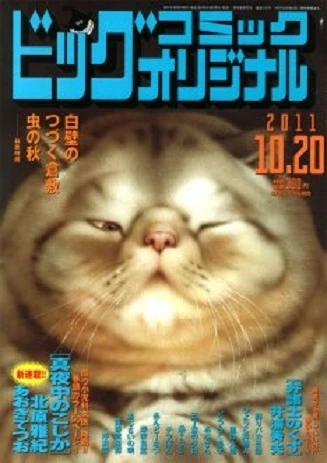 Cover of No. 20, 2011