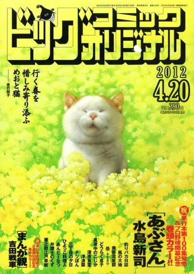 Cover of No. 8, 2012