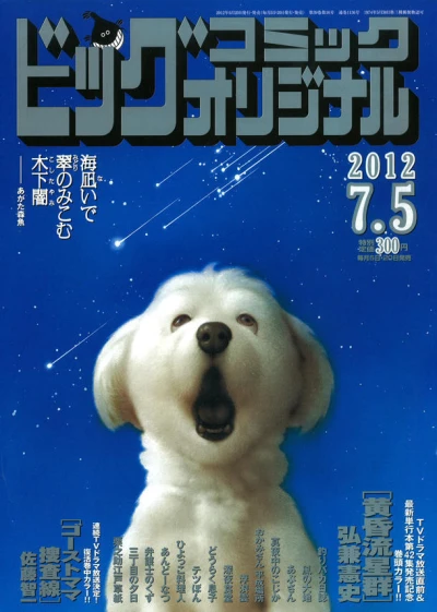 Cover of No. 13, 2012