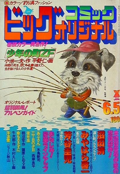 Cover of No. 11, 1978