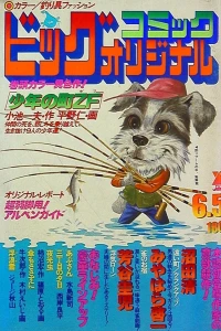 No. 11, 1978