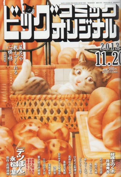 Cover of No. 22, 2012