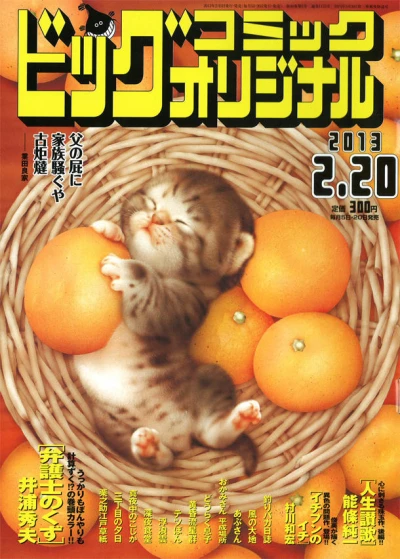 Cover of No. 4, 2013