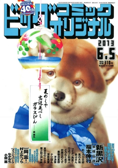 Cover of No. 11, 2013