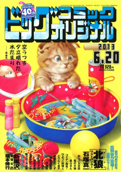 Cover of No. 12, 2013