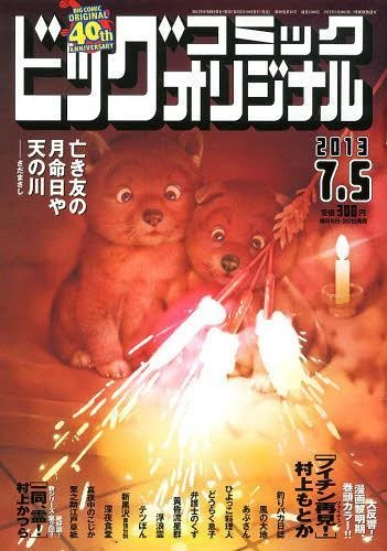 Cover of No. 13, 2013